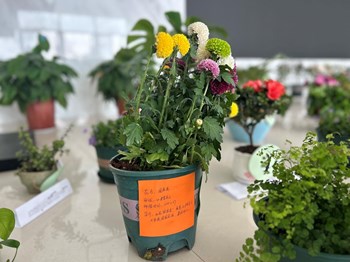 【艺术设计学院】我院积极参与首届“班花”评选活动